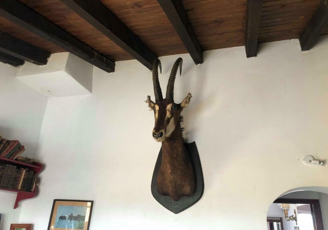 Villa Monte Da Figueira à Amareleja Extérieur photo
